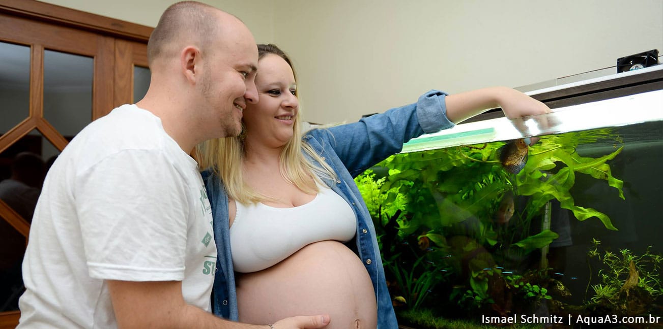 Dia dos namorados: 10 razões para namorar um aquarista