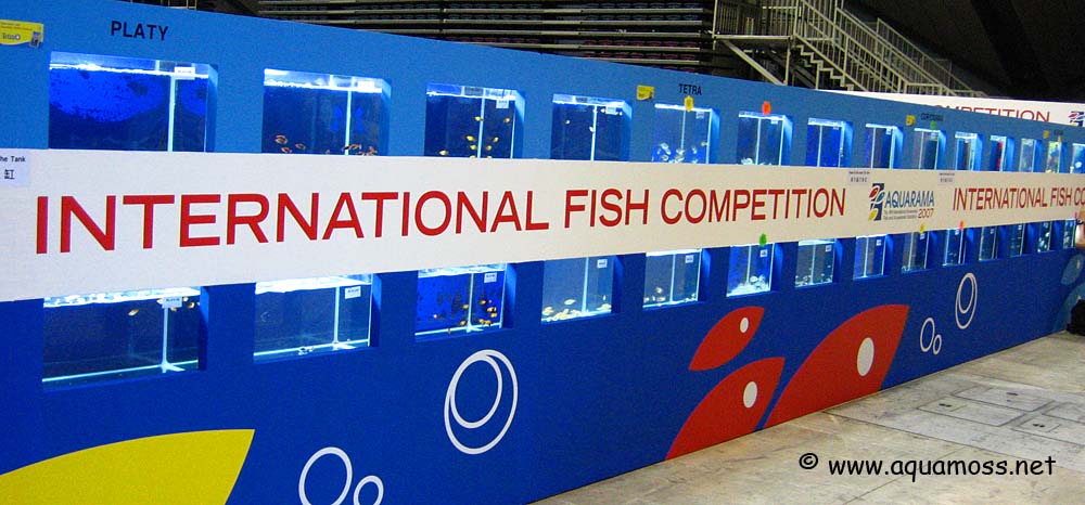 Aquarama International Fish Competition