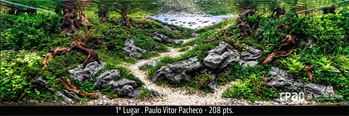 1º lugar Paulo Vitor Pacheco no CPAQ 2015