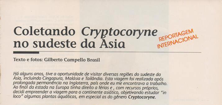 Coletando Cryptocoryne no sudeste da Ásia