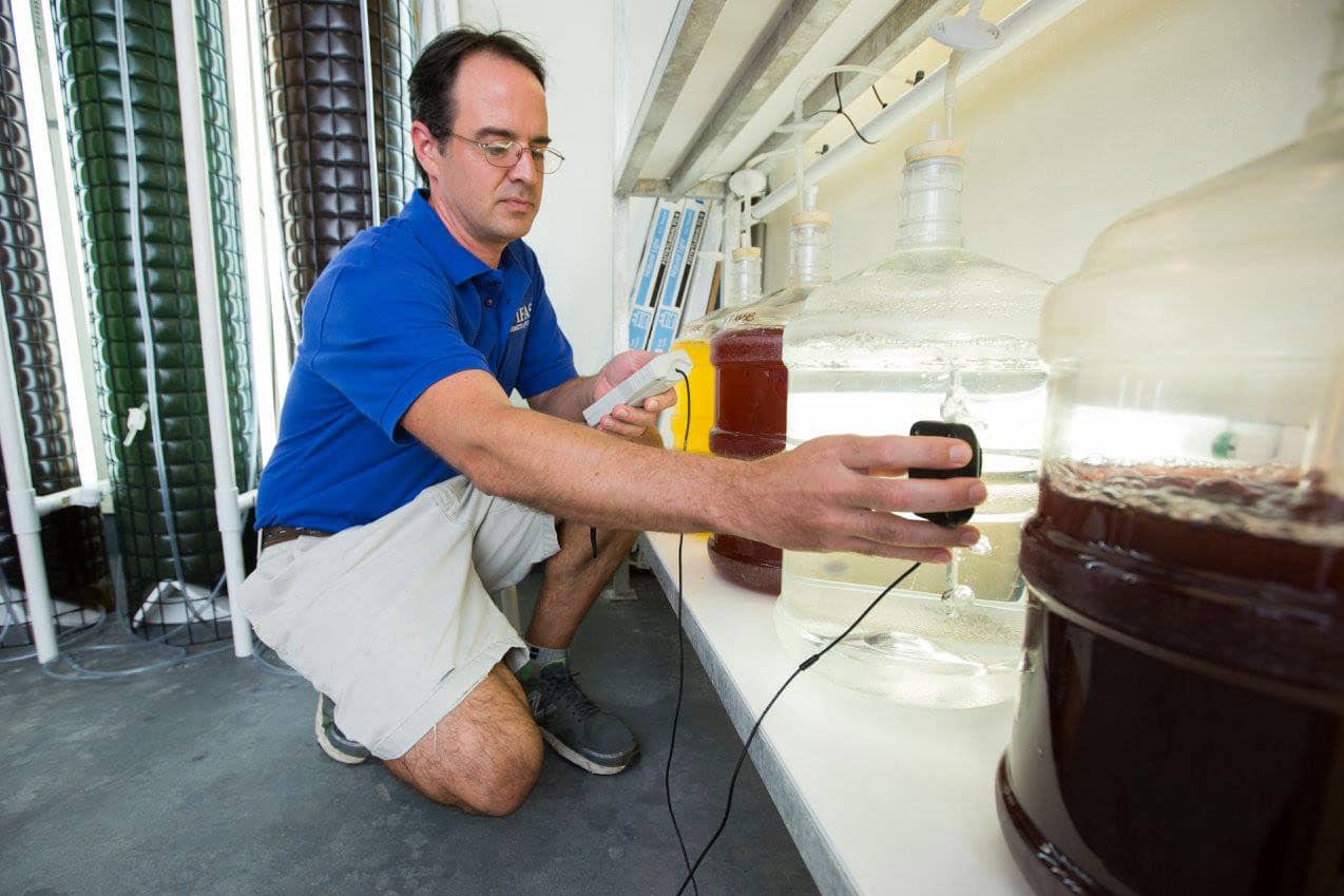 Eric Cassiano da UF Tropical Aquaculture Laboratory