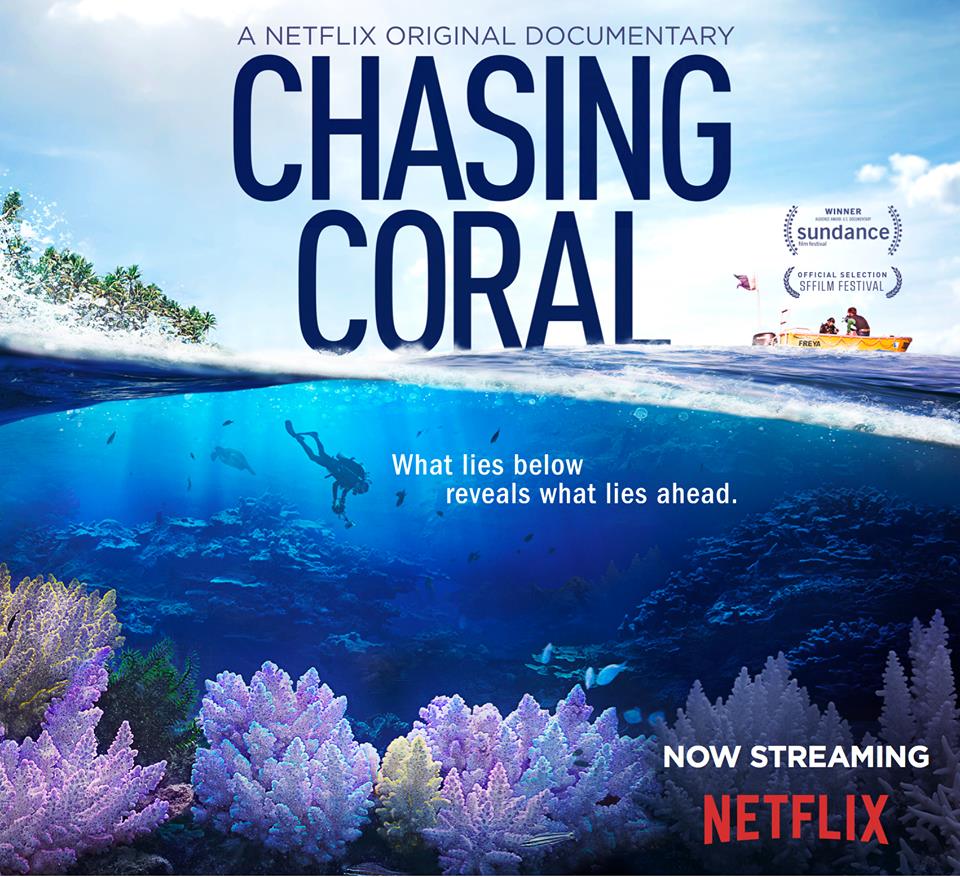 Chasing Coral - Em busca dos corais