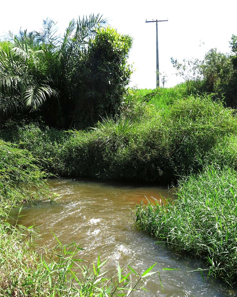 Rio Jacuípe, habitat do Parotocinclus jacumirim